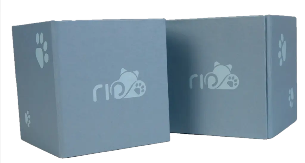 Frente Perspectiva Duplo Reuzido.webp