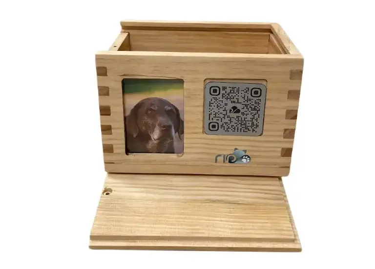 Urna Personalizável